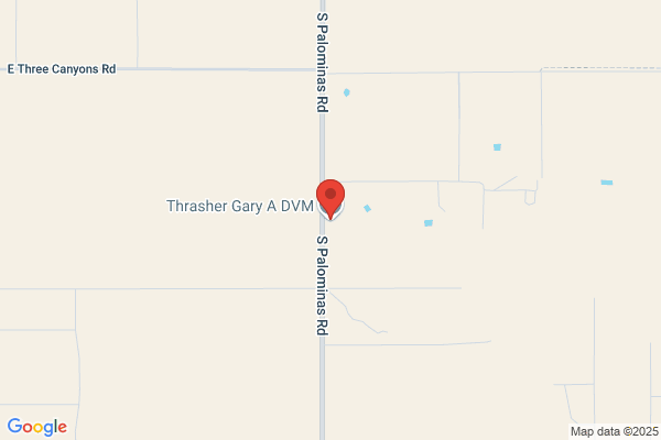 Thrasher Gary A DVM