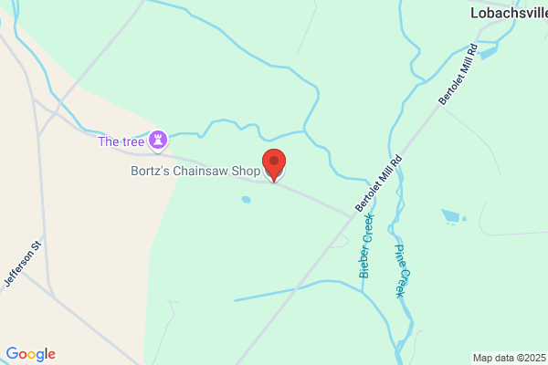 Bortz's Chainsaw Shop