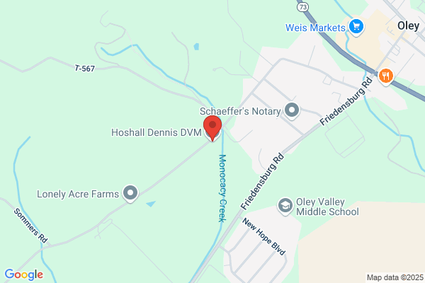 Hoshall Dennis C DVM