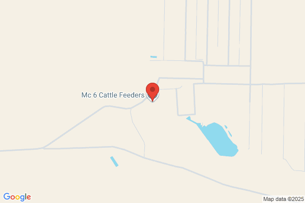 Mc 6 Cattle Feeders Inc