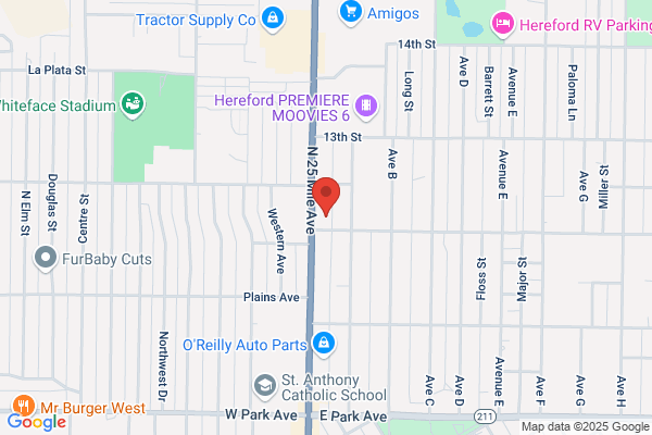 AutoZone Auto Parts