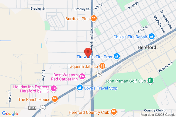 NAPA Auto Parts - APL Auto Parts