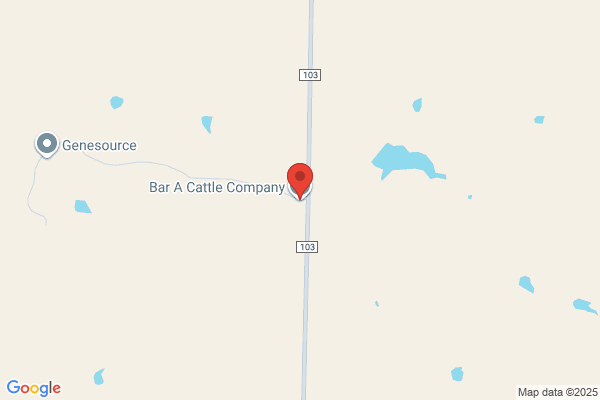 Bar 7 Cattle Company