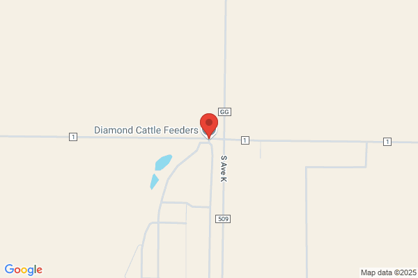 Diamond Cattle Feeders Inc