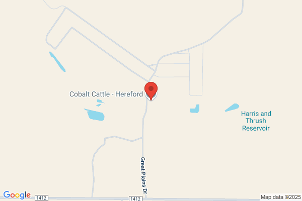 Great Plains Cattle Feeders Inc