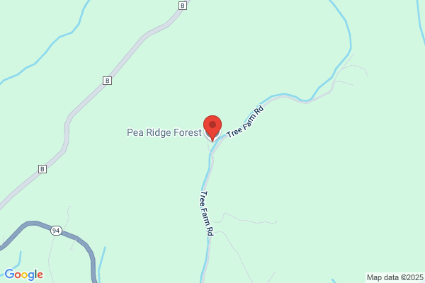 Pea Ridge Forest Christmas Tree Farm