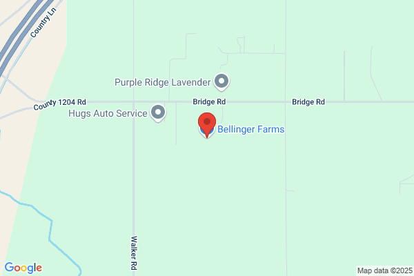 Bellinger Produce Llc Fruit Stand