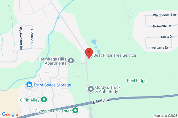 Best Price Tree Service