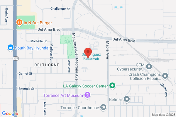 Airport Torrance Transportation