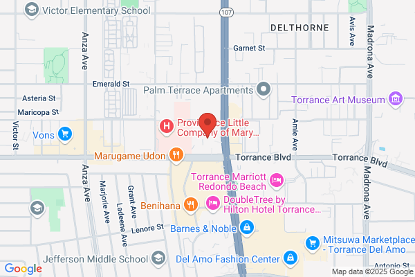 Del AMO Express Restaurant