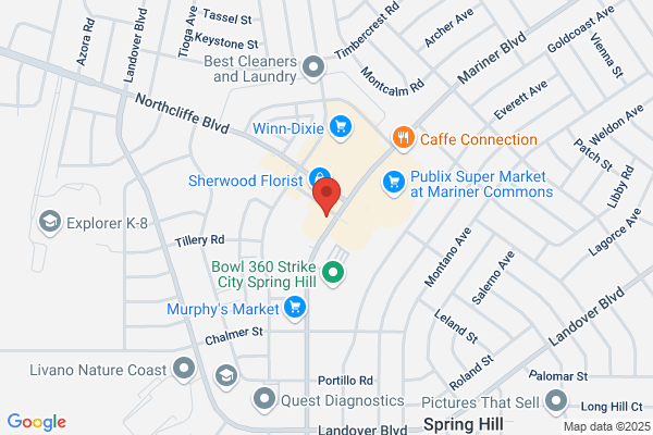 Homes & Land Title Inc