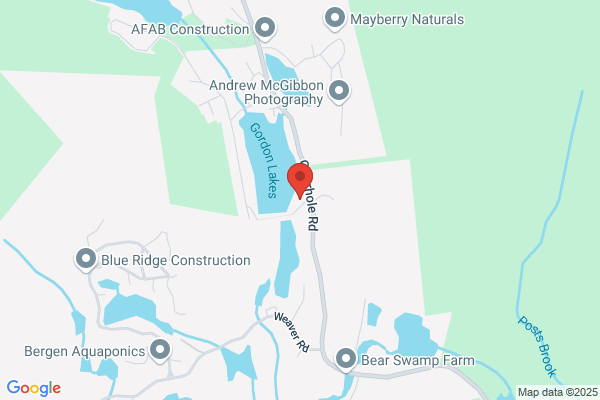 Wayne's Cranes Service
