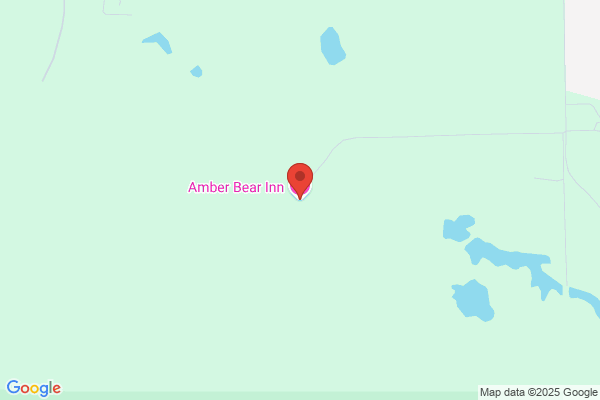 Amber Bear Inn