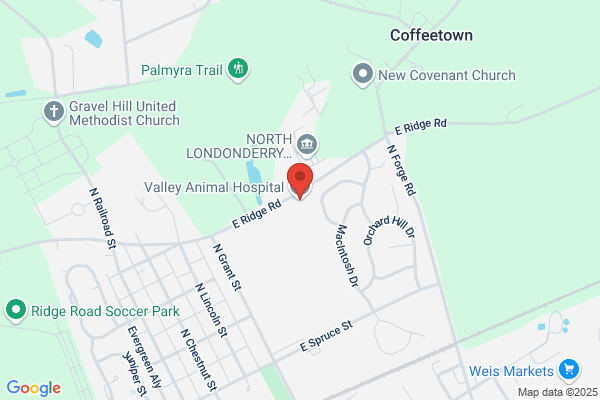 Valley Animal Hospital