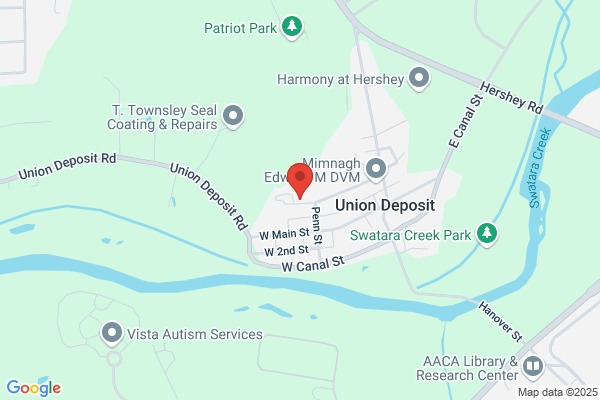Village Autobody Of Union Deposit LLC