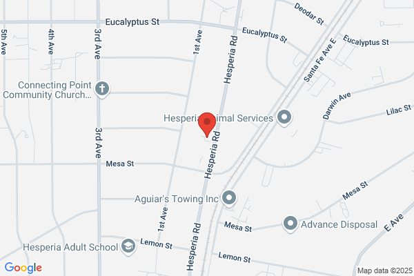 Eagle Ranch Automotive