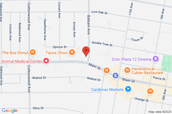 City Dental Care Children and Family
