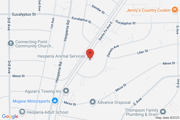 Hesperia City of, Animal Control
