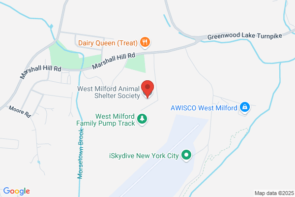 Animals, Domestic, West Milford Animal Shelter