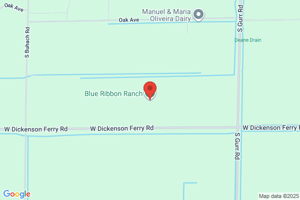 Blue Ribbon Ranch