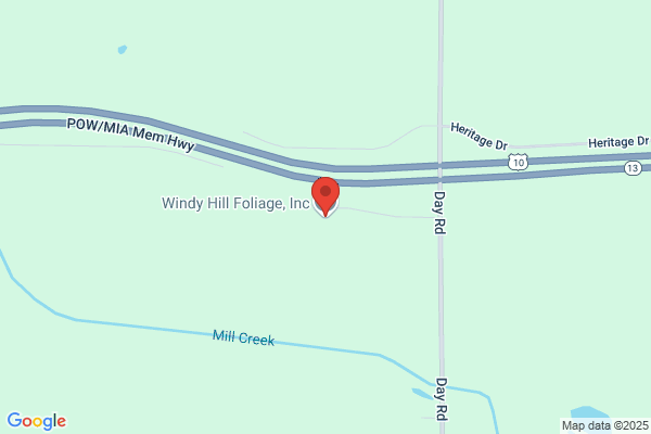 Windy Hill Foliage