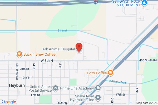 Ark Animal Hospital