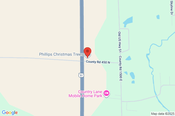 Phillips Christmas Trees