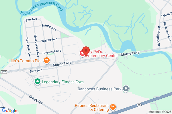 Derman Family Chiropractics PC