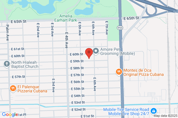 A Dollar Party Rental