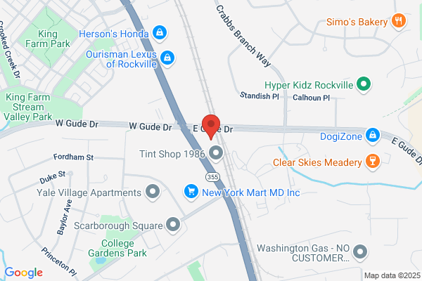 D & D Auto Body Collision