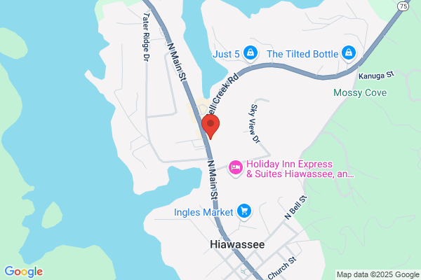Hiawassee Antique Mall Llc