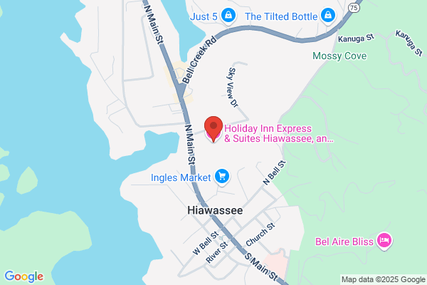 Holiday Inn Express & Suites Hiawassee, an IHG Hotel