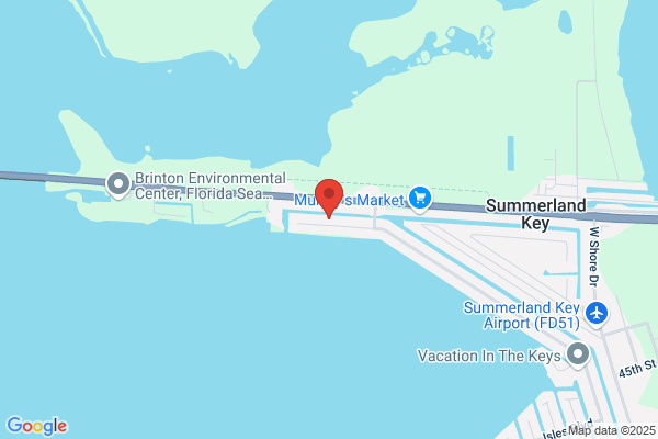 Cannon Mobile Marine LLC