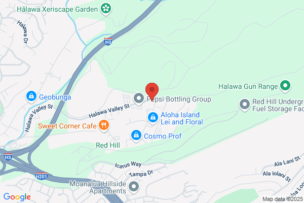 Carnegie Dale Courses