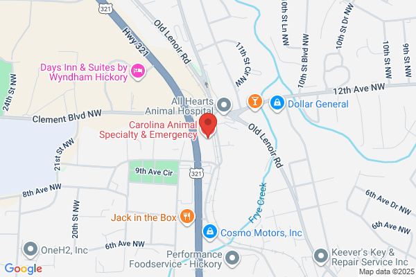 Carolina Animal Specialty & Emergency (CASE)