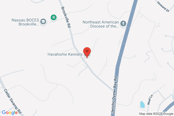 Havahome Kennels