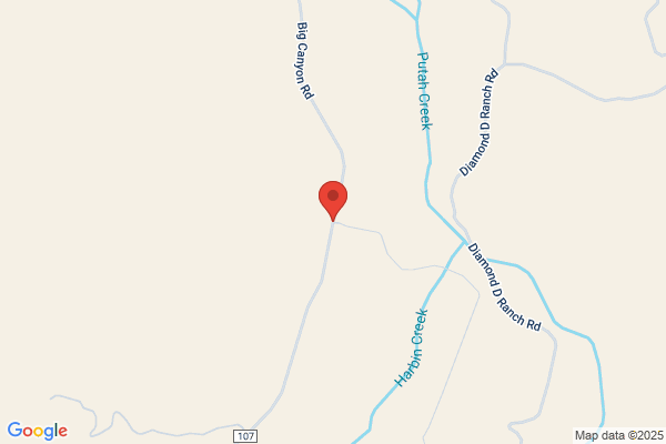 Diamond D Ranch