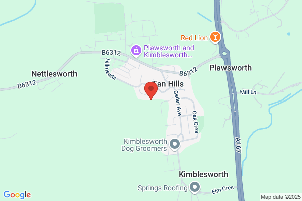Tyneway Dolores Robi Veterinary House Calls
