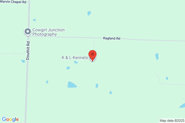 K & L Kennels