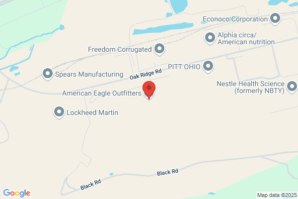 American Eagle Outfitters Inc