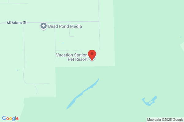 Vacation Station Pet Resort