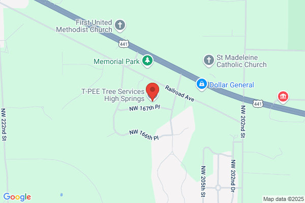 Alachua County Tree Service