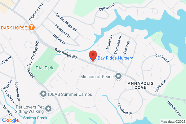 Bay Ridge Nursery & Garden Center