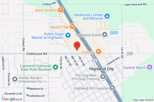 Advance Auto Parts