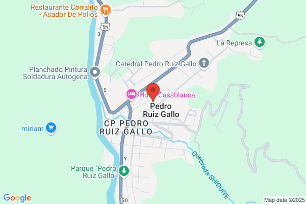 Pedro Ruiz, MD
