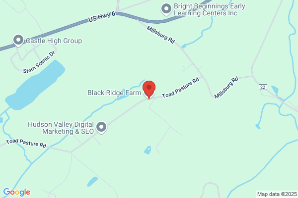 Black Bear Ranch