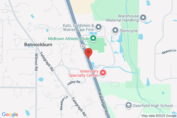 Berkowitz Cary E MD