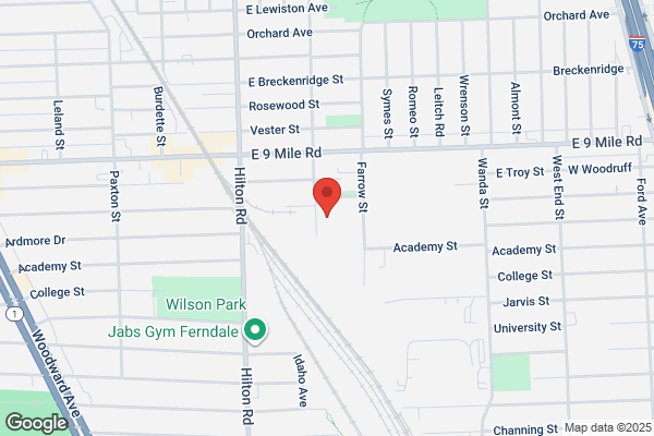 Suburban Collision of Ferndale