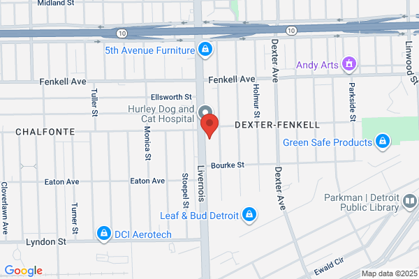 Livernois Collision