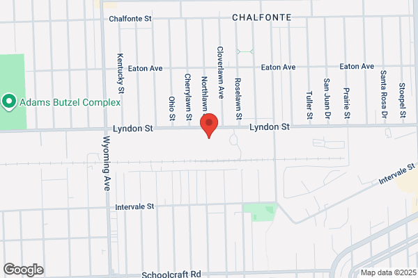 Motown Snack Foods Inc